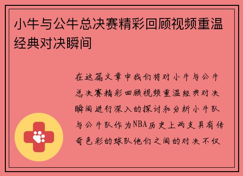 小牛与公牛总决赛精彩回顾视频重温经典对决瞬间